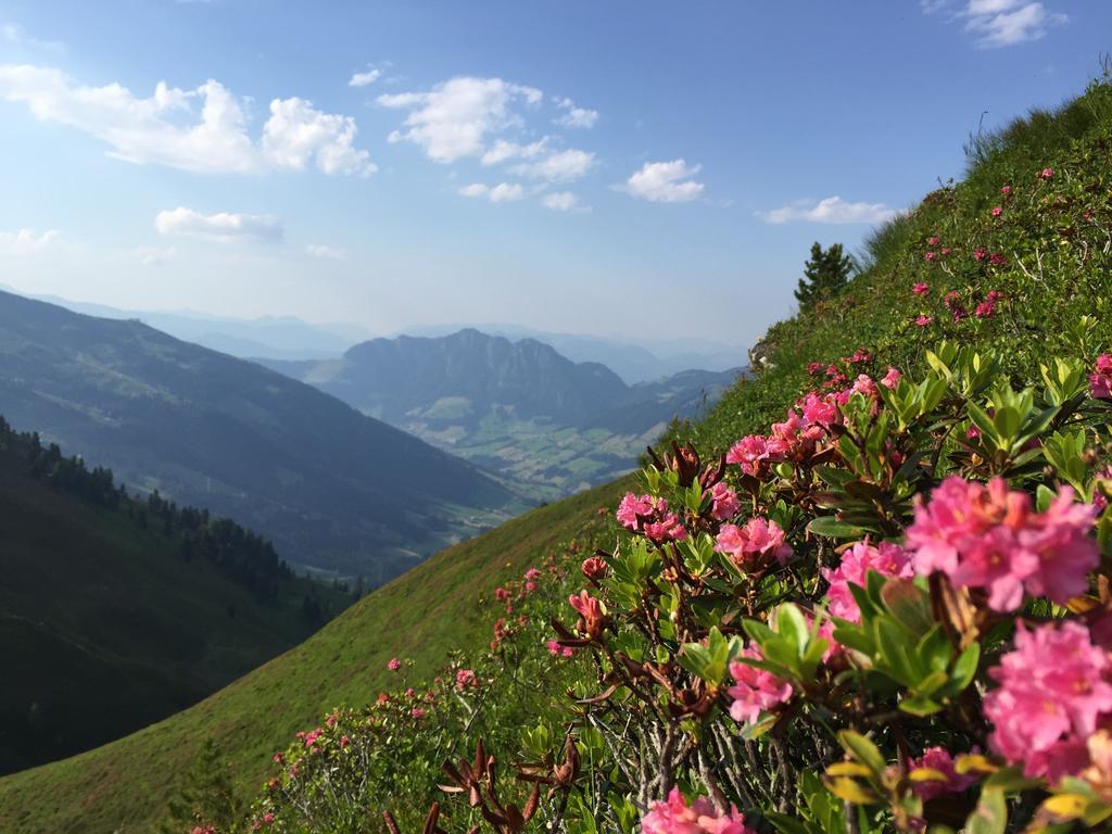 Das Alpbach Juwel Exterior photo