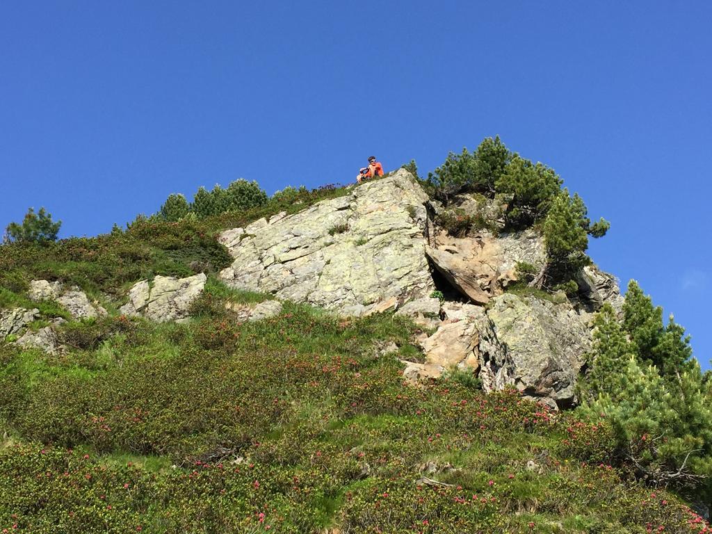 Das Alpbach Juwel Exterior photo