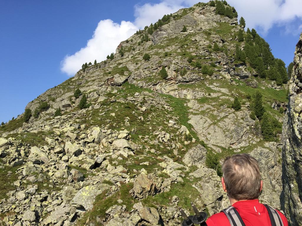 Das Alpbach Juwel Exterior photo