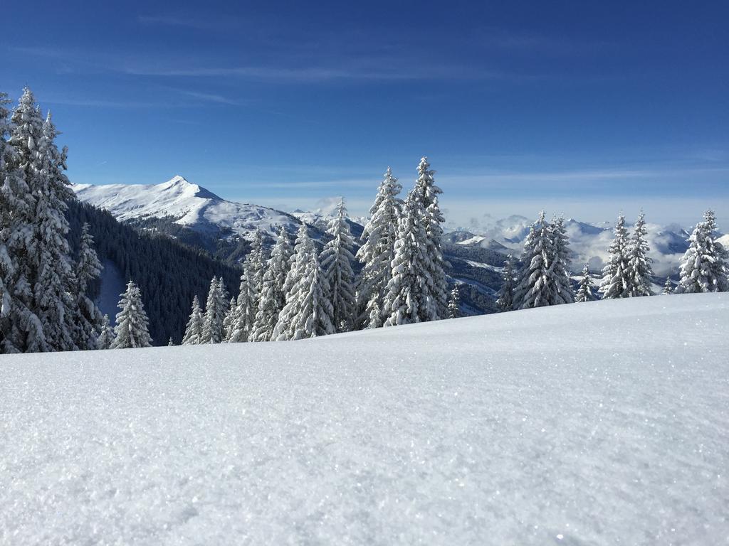 Das Alpbach Juwel Exterior photo
