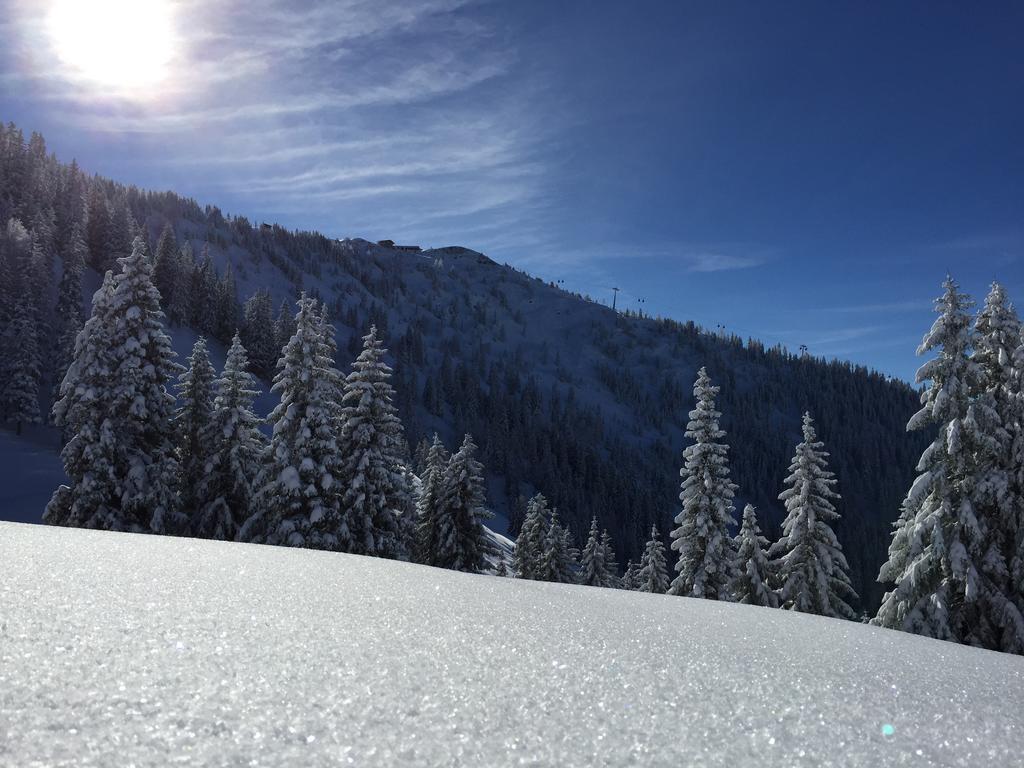 Das Alpbach Juwel Exterior photo