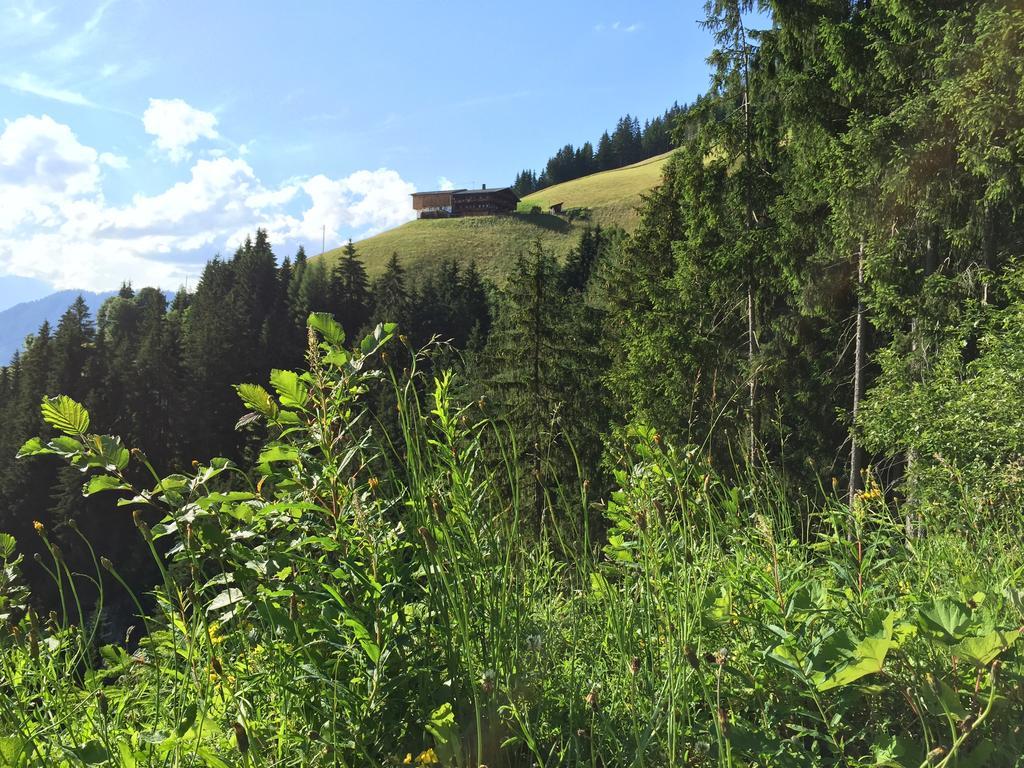 Das Alpbach Juwel Exterior photo